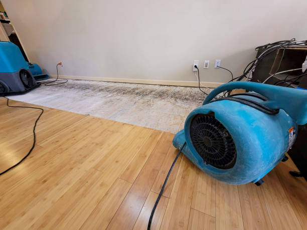 Professional Water Damage Repair technician working in Saint Leonard, MD